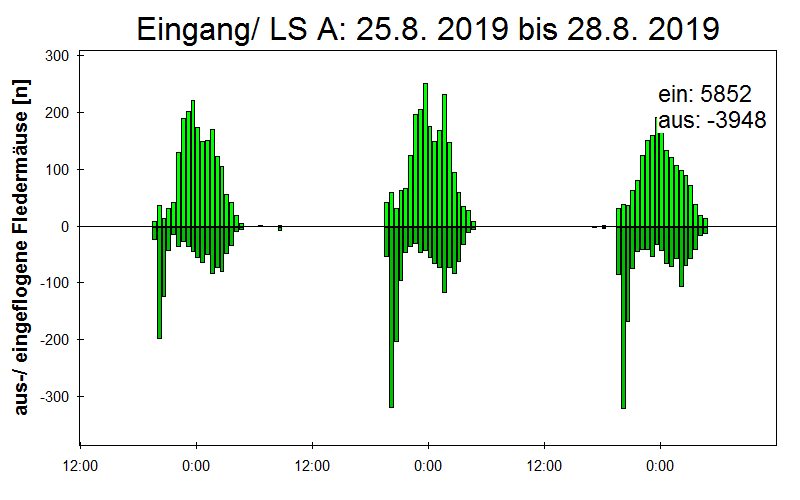 [Fledermaus] Lichtschranke: Segeberger Kalkberg (NABU Schleswig-Holstein)
