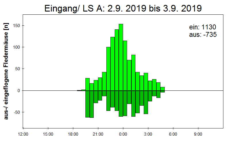 [Fledermaus] Lichtschranke: Segeberger Kalkberg (NABU Schleswig-Holstein)