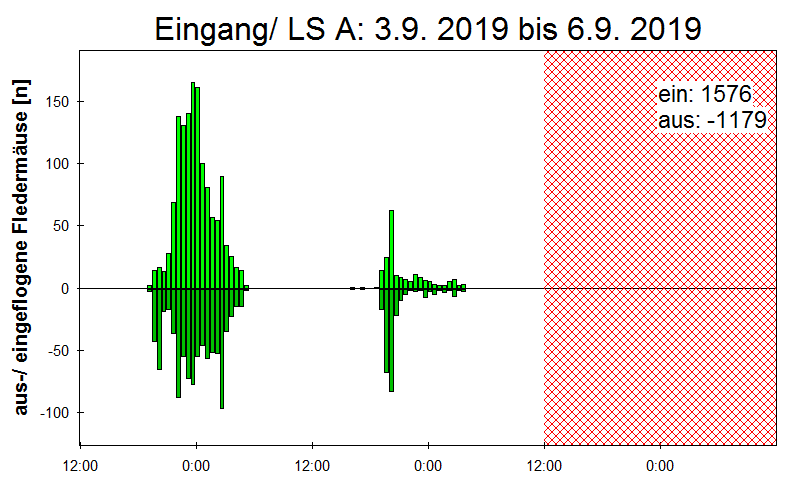 [Fledermaus] Lichtschranke: Segeberger Kalkberg (NABU Schleswig-Holstein)