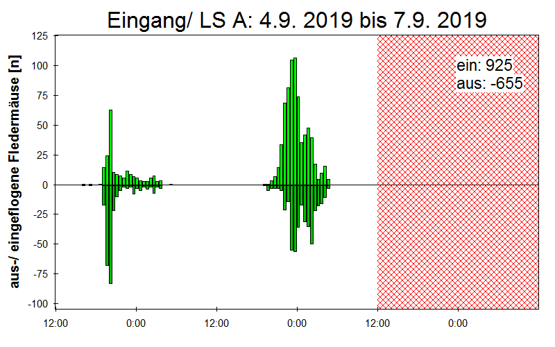 [Fledermaus] Lichtschranke: Segeberger Kalkberg (NABU Schleswig-Holstein)