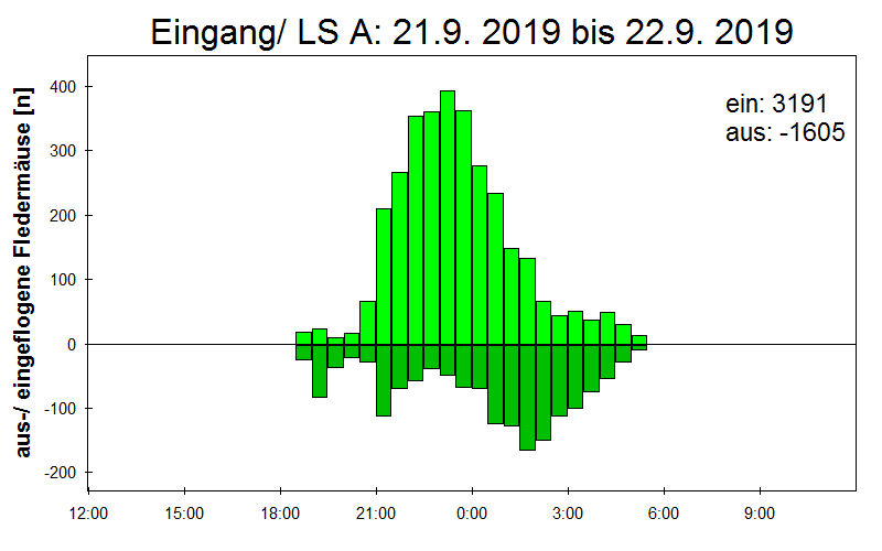 [Fledermaus] Lichtschranke: Segeberger Kalkberg (NABU Schleswig-Holstein)