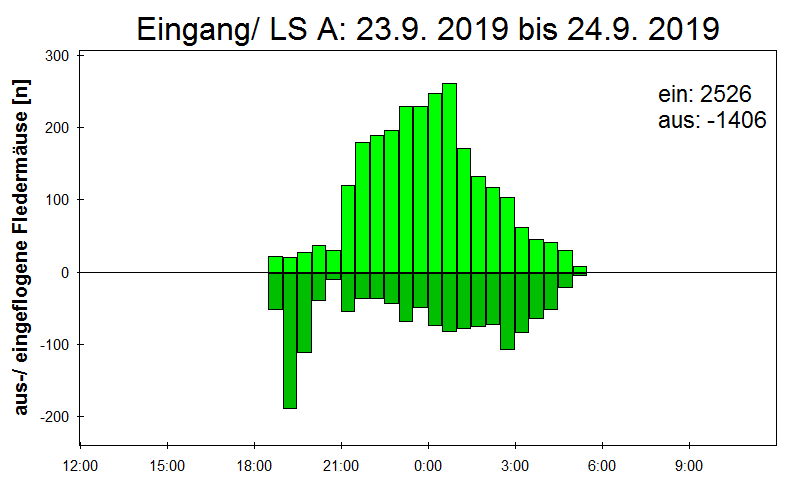 [Fledermaus] Lichtschranke: Segeberger Kalkberg (NABU Schleswig-Holstein)