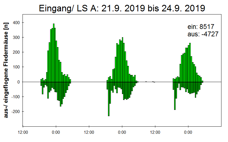 [Fledermaus] Lichtschranke: Segeberger Kalkberg (NABU Schleswig-Holstein)