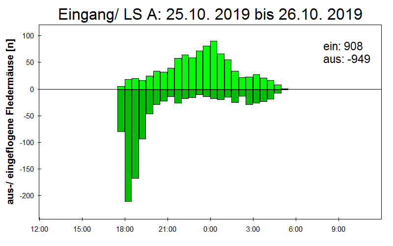 [Fledermaus] Lichtschranke: Segeberger Kalkberg (NABU Schleswig-Holstein)