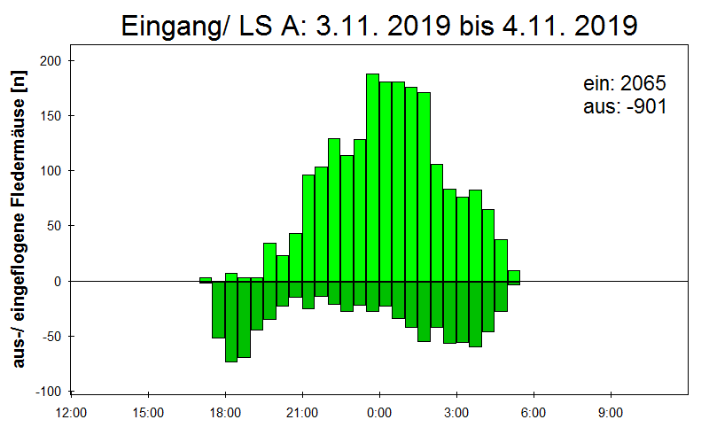 [Fledermaus] Lichtschranke: Segeberger Kalkberg (NABU Schleswig-Holstein)