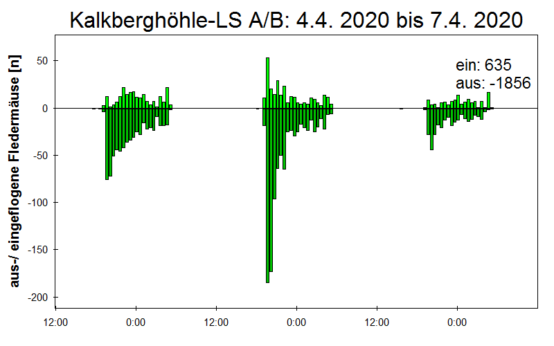 [Fledermaus] Lichtschranke: Segeberger Kalkberg (NABU Schleswig-Holstein)