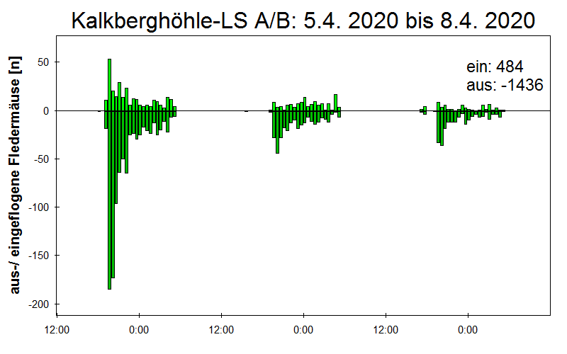 [Fledermaus] Lichtschranke: Segeberger Kalkberg (NABU Schleswig-Holstein)