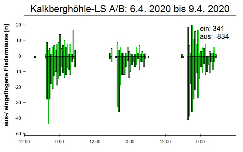 [Fledermaus] Lichtschranke: Segeberger Kalkberg (NABU Schleswig-Holstein)
