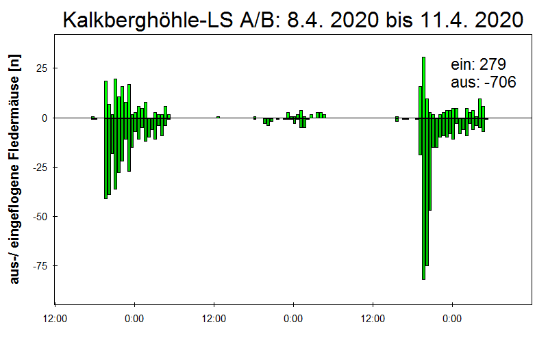 [Fledermaus] Lichtschranke: Segeberger Kalkberg (NABU Schleswig-Holstein)