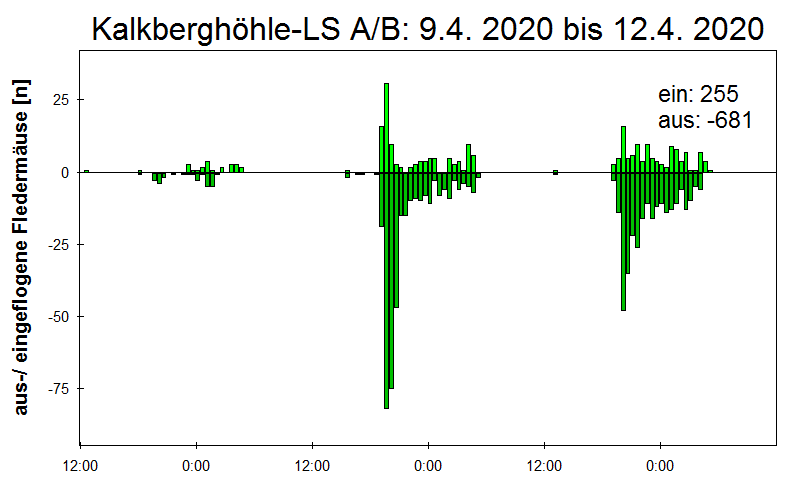 [Fledermaus] Lichtschranke: Segeberger Kalkberg (NABU Schleswig-Holstein)