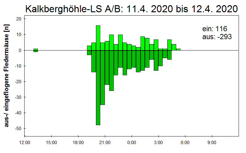 [Fledermaus] Lichtschranke: Segeberger Kalkberg (NABU Schleswig-Holstein)