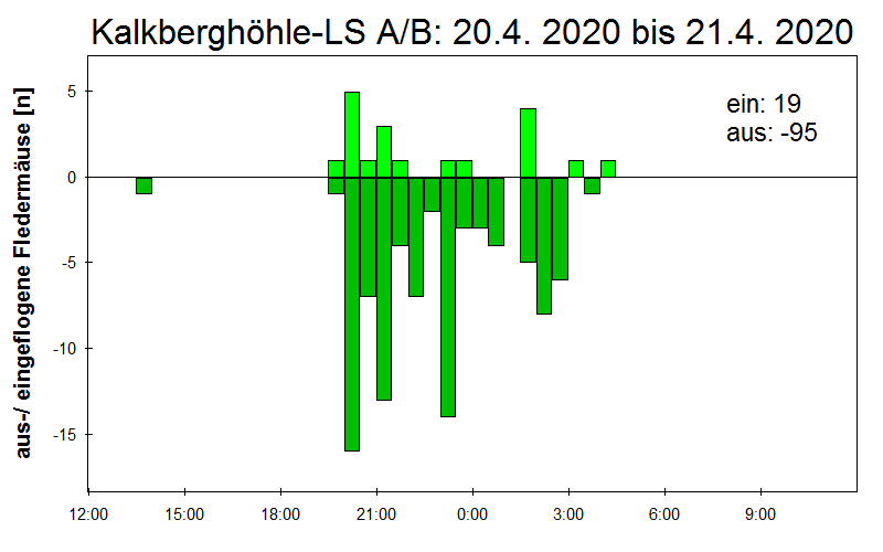 [Fledermaus] Lichtschranke: Segeberger Kalkberg (NABU Schleswig-Holstein)