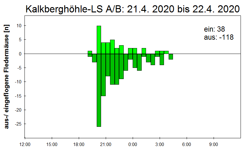 [Fledermaus] Lichtschranke: Segeberger Kalkberg (NABU Schleswig-Holstein)