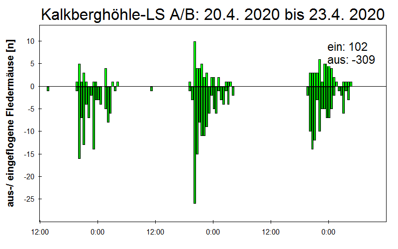 [Fledermaus] Lichtschranke: Segeberger Kalkberg (NABU Schleswig-Holstein)