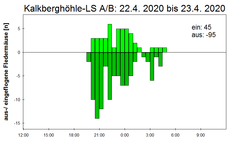 [Fledermaus] Lichtschranke: Segeberger Kalkberg (NABU Schleswig-Holstein)