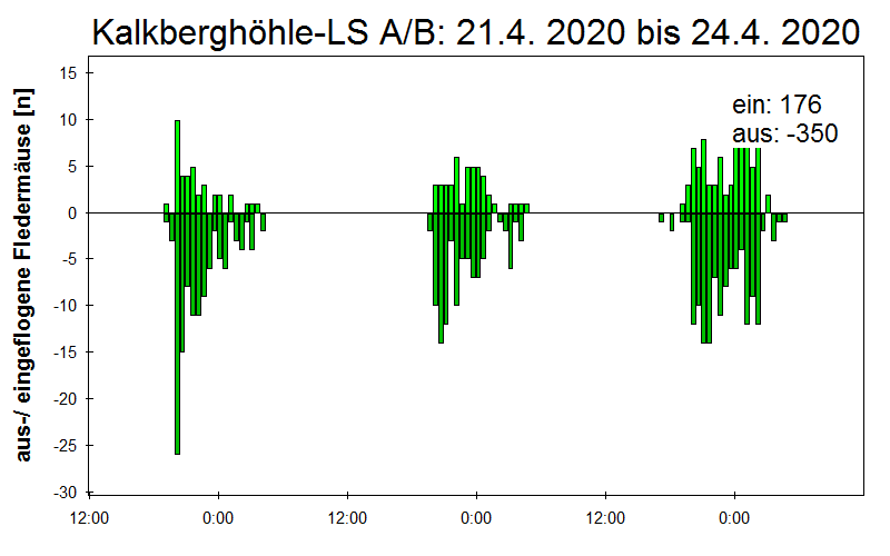 [Fledermaus] Lichtschranke: Segeberger Kalkberg (NABU Schleswig-Holstein)