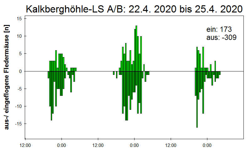 [Fledermaus] Lichtschranke: Segeberger Kalkberg (NABU Schleswig-Holstein)