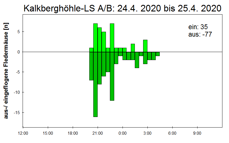 [Fledermaus] Lichtschranke: Segeberger Kalkberg (NABU Schleswig-Holstein)