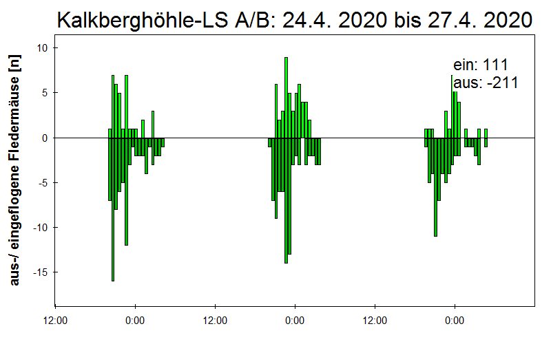 [Fledermaus] Lichtschranke: Segeberger Kalkberg (NABU Schleswig-Holstein)