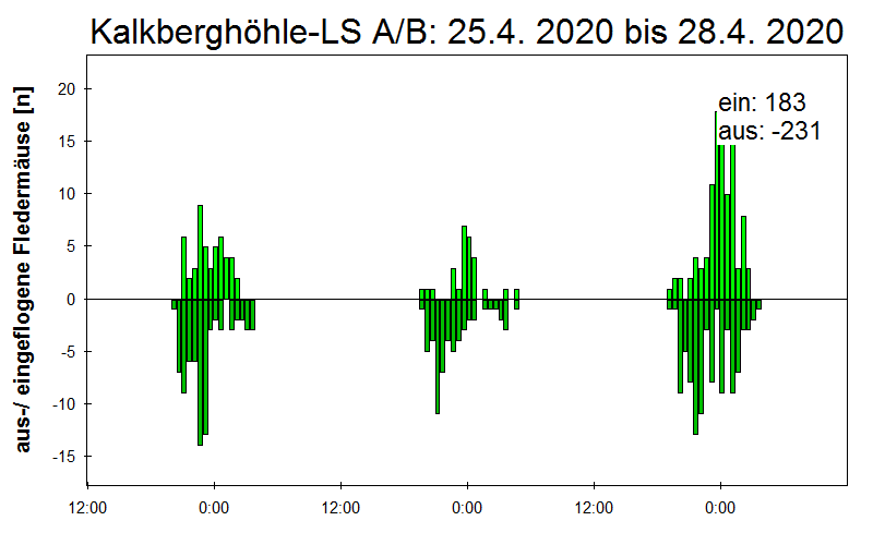 [Fledermaus] Lichtschranke: Segeberger Kalkberg (NABU Schleswig-Holstein)