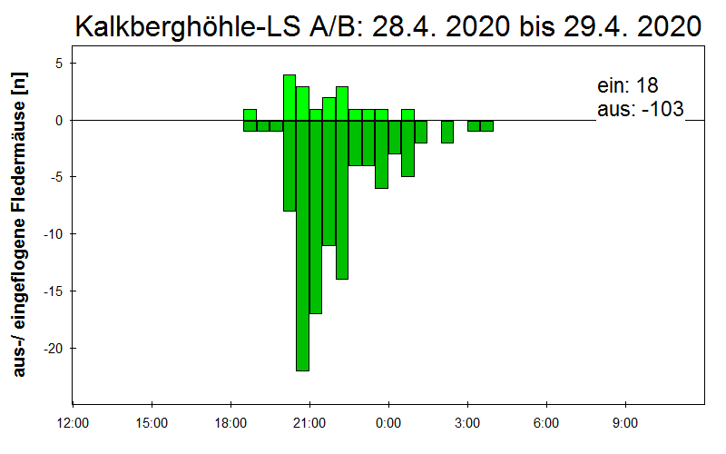 [Fledermaus] Lichtschranke: Segeberger Kalkberg (NABU Schleswig-Holstein)