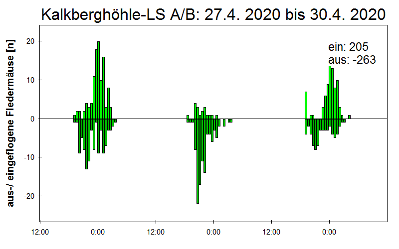 [Fledermaus] Lichtschranke: Segeberger Kalkberg (NABU Schleswig-Holstein)