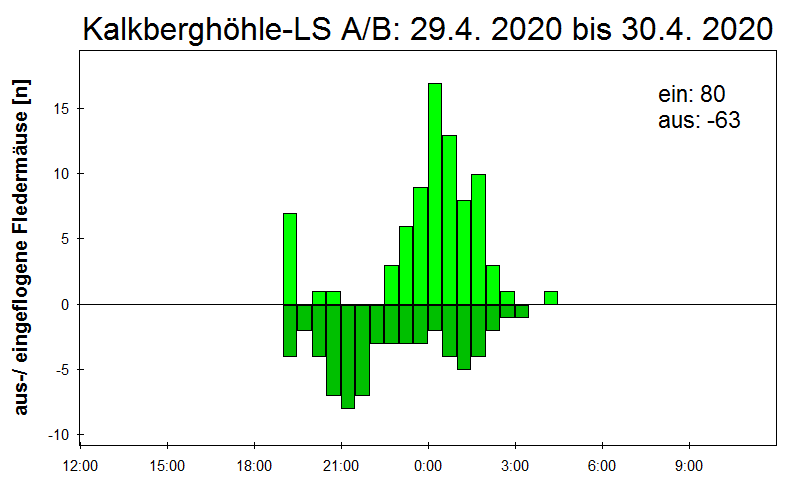 [Fledermaus] Lichtschranke: Segeberger Kalkberg (NABU Schleswig-Holstein)
