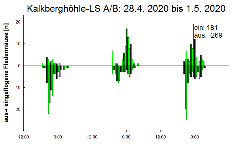 [Fledermaus] Lichtschranke: Segeberger Kalkberg (NABU Schleswig-Holstein)