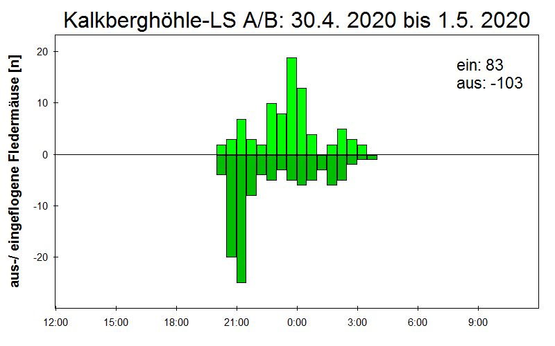 [Fledermaus] Lichtschranke: Segeberger Kalkberg (NABU Schleswig-Holstein)