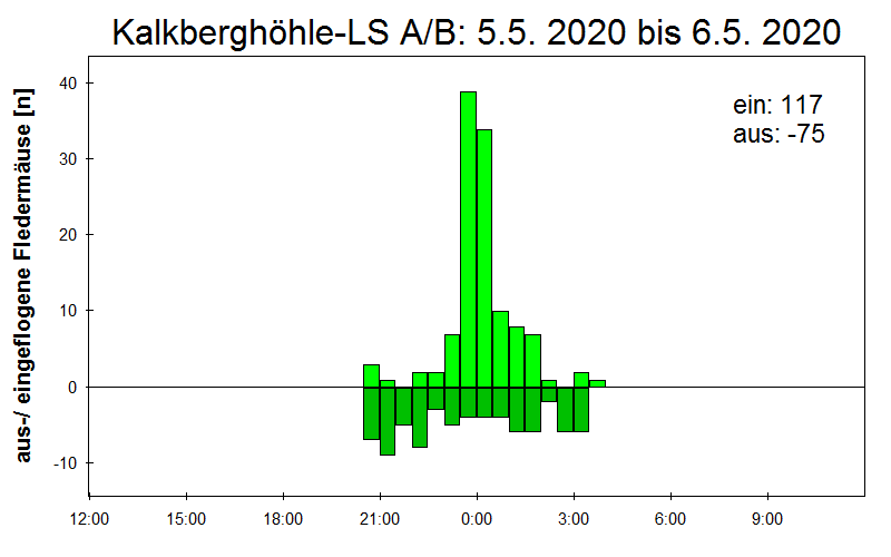 [Fledermaus] Lichtschranke: Segeberger Kalkberg (NABU Schleswig-Holstein)