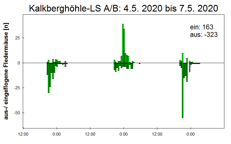 [Fledermaus] Lichtschranke: Segeberger Kalkberg (NABU Schleswig-Holstein)