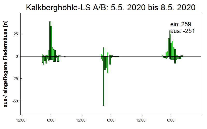 [Fledermaus] Lichtschranke: Segeberger Kalkberg (NABU Schleswig-Holstein)