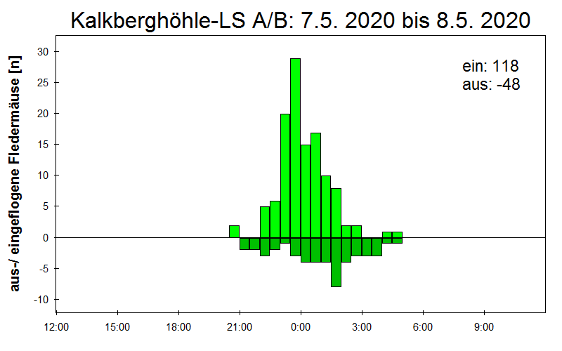 [Fledermaus] Lichtschranke: Segeberger Kalkberg (NABU Schleswig-Holstein)