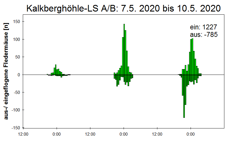 [Fledermaus] Lichtschranke: Segeberger Kalkberg (NABU Schleswig-Holstein)