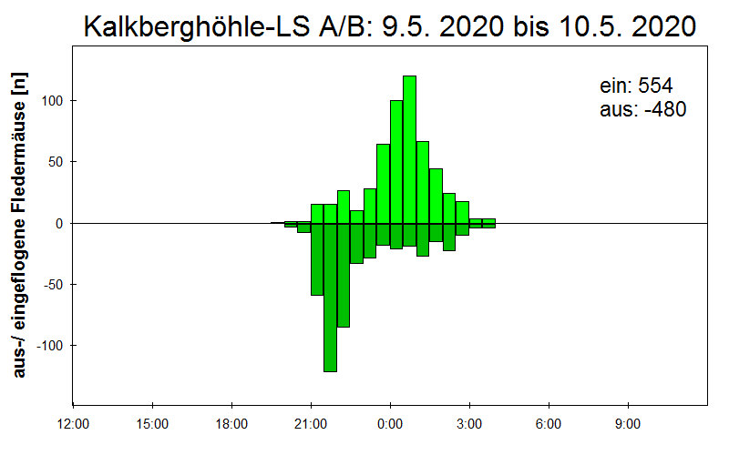[Fledermaus] Lichtschranke: Segeberger Kalkberg (NABU Schleswig-Holstein)