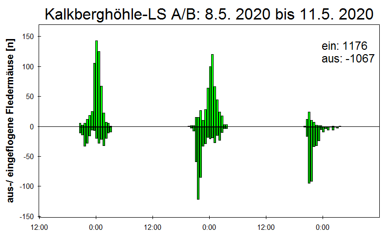 [Fledermaus] Lichtschranke: Segeberger Kalkberg (NABU Schleswig-Holstein)