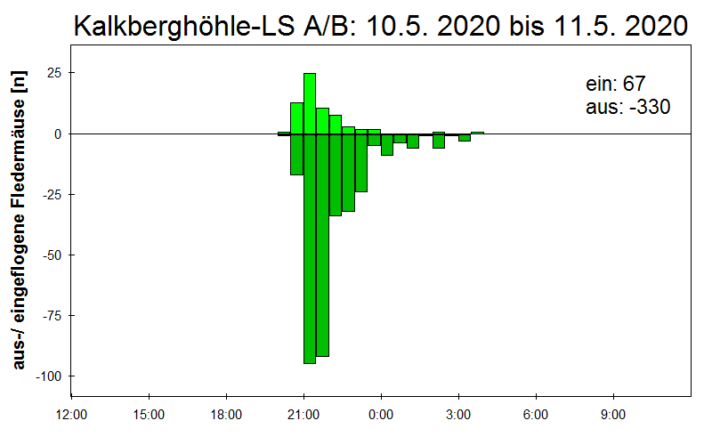 [Fledermaus] Lichtschranke: Segeberger Kalkberg (NABU Schleswig-Holstein)