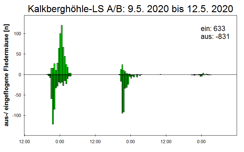 [Fledermaus] Lichtschranke: Segeberger Kalkberg (NABU Schleswig-Holstein)