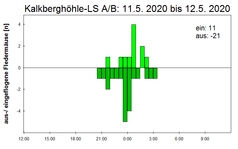 [Fledermaus] Lichtschranke: Segeberger Kalkberg (NABU Schleswig-Holstein)