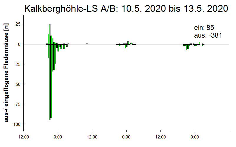 [Fledermaus] Lichtschranke: Segeberger Kalkberg (NABU Schleswig-Holstein)