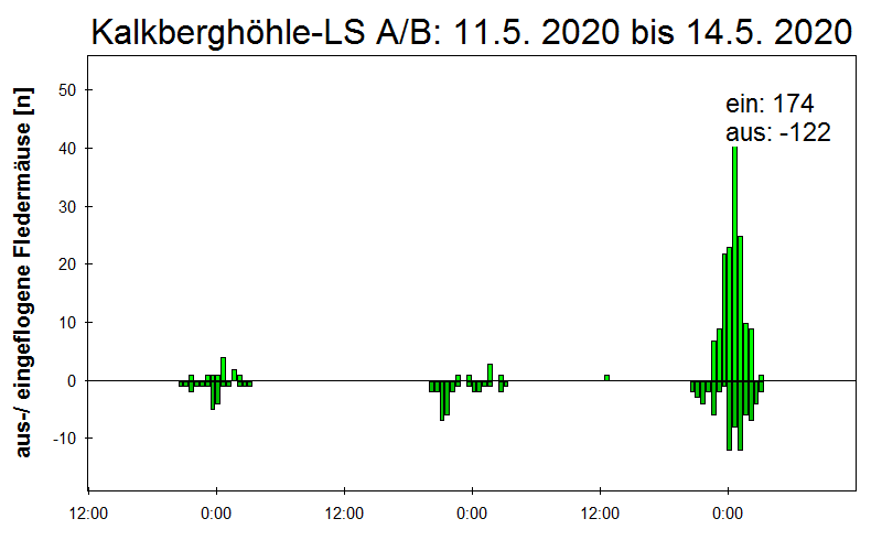 [Fledermaus] Lichtschranke: Segeberger Kalkberg (NABU Schleswig-Holstein)