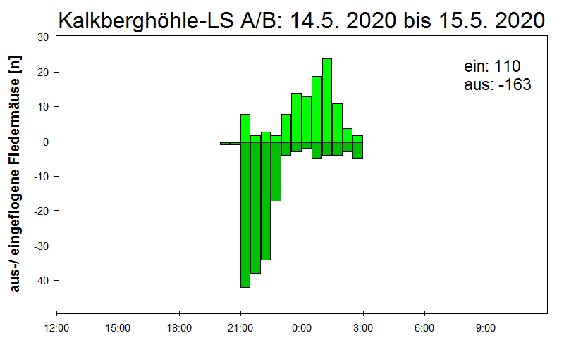 [Fledermaus] Lichtschranke: Segeberger Kalkberg (NABU Schleswig-Holstein)