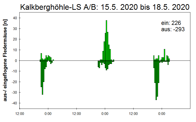 [Fledermaus] Lichtschranke: Segeberger Kalkberg (NABU Schleswig-Holstein)