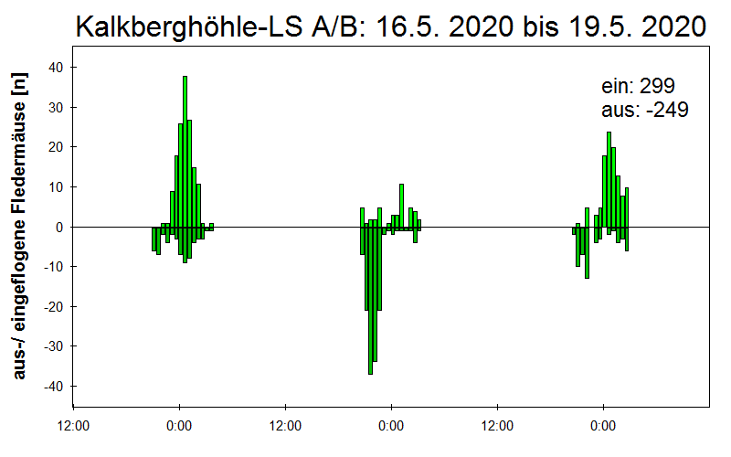 [Fledermaus] Lichtschranke: Segeberger Kalkberg (NABU Schleswig-Holstein)