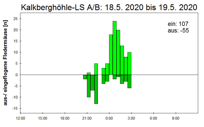 [Fledermaus] Lichtschranke: Segeberger Kalkberg (NABU Schleswig-Holstein)