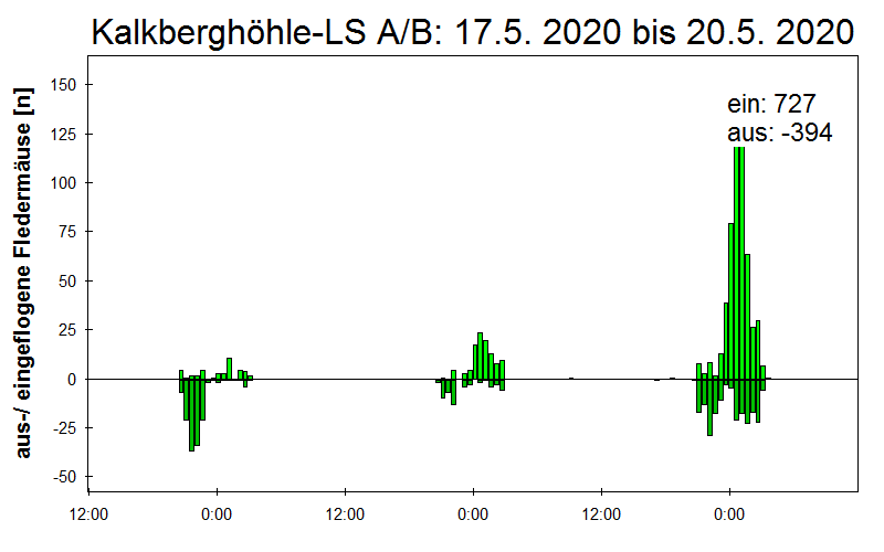 [Fledermaus] Lichtschranke: Segeberger Kalkberg (NABU Schleswig-Holstein)