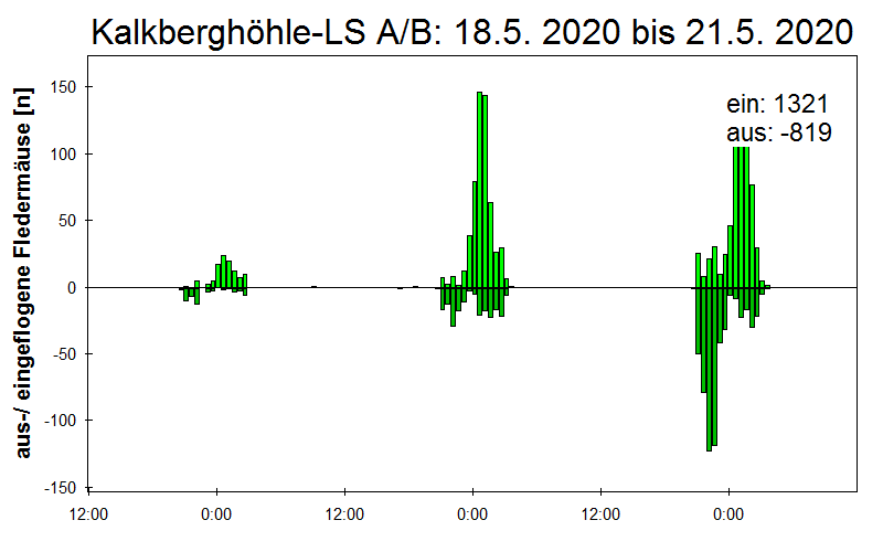 [Fledermaus] Lichtschranke: Segeberger Kalkberg (NABU Schleswig-Holstein)
