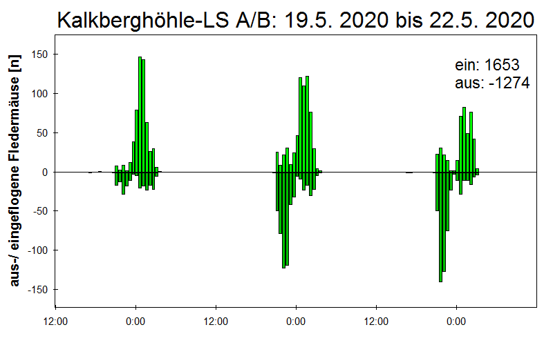 [Fledermaus] Lichtschranke: Segeberger Kalkberg (NABU Schleswig-Holstein)