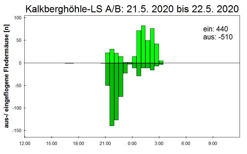 [Fledermaus] Lichtschranke: Segeberger Kalkberg (NABU Schleswig-Holstein)