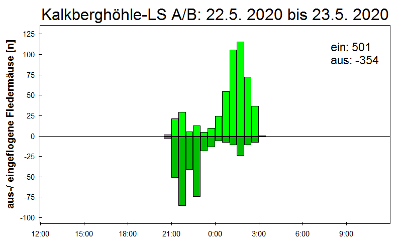 [Fledermaus] Lichtschranke: Segeberger Kalkberg (NABU Schleswig-Holstein)